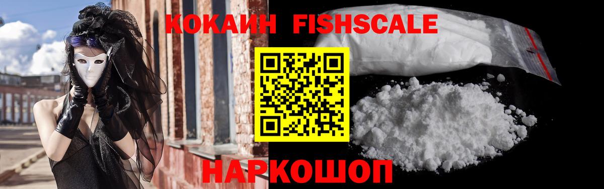 Cocaine Fish Scale  Вход с VPN  Павлово  купить  цена  Кокаин VHQ  Cocaine 
