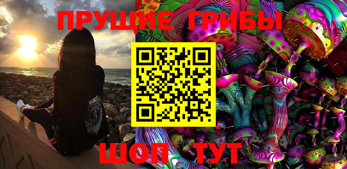 Галлюциногенные грибы прущие грибы  Вход с VPN  Павлово 
