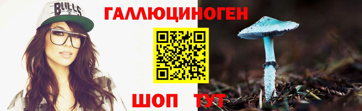 Псилоцибиновые грибы Psilocybe Павлово